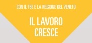 IL LAVORO CRESCE